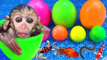Baby Monkey Opening Surprise Eggs – Cute Toy Reveal Fun for Kids
